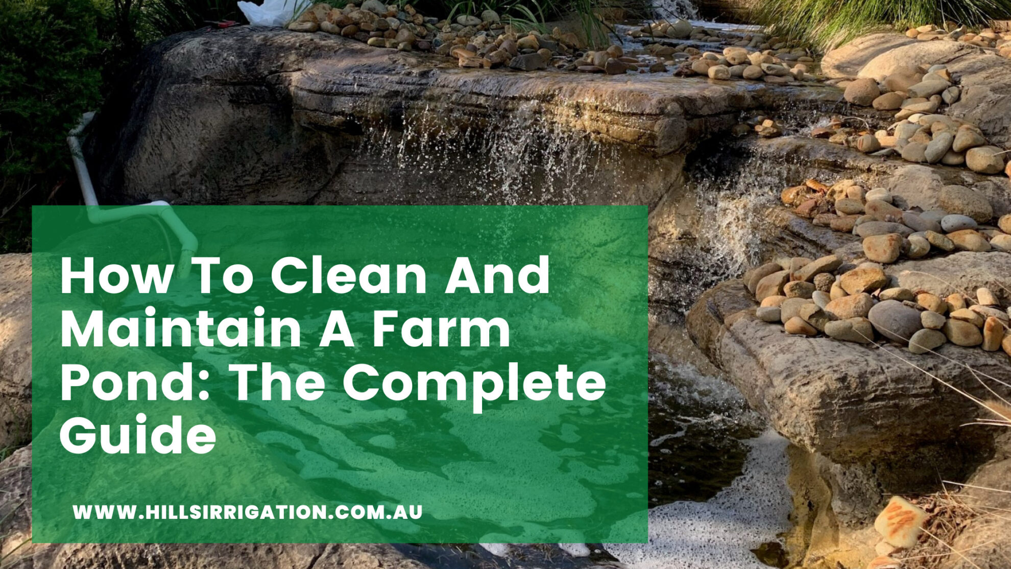 How To Clean And Maintain A Farm Pond | The Complete Guide