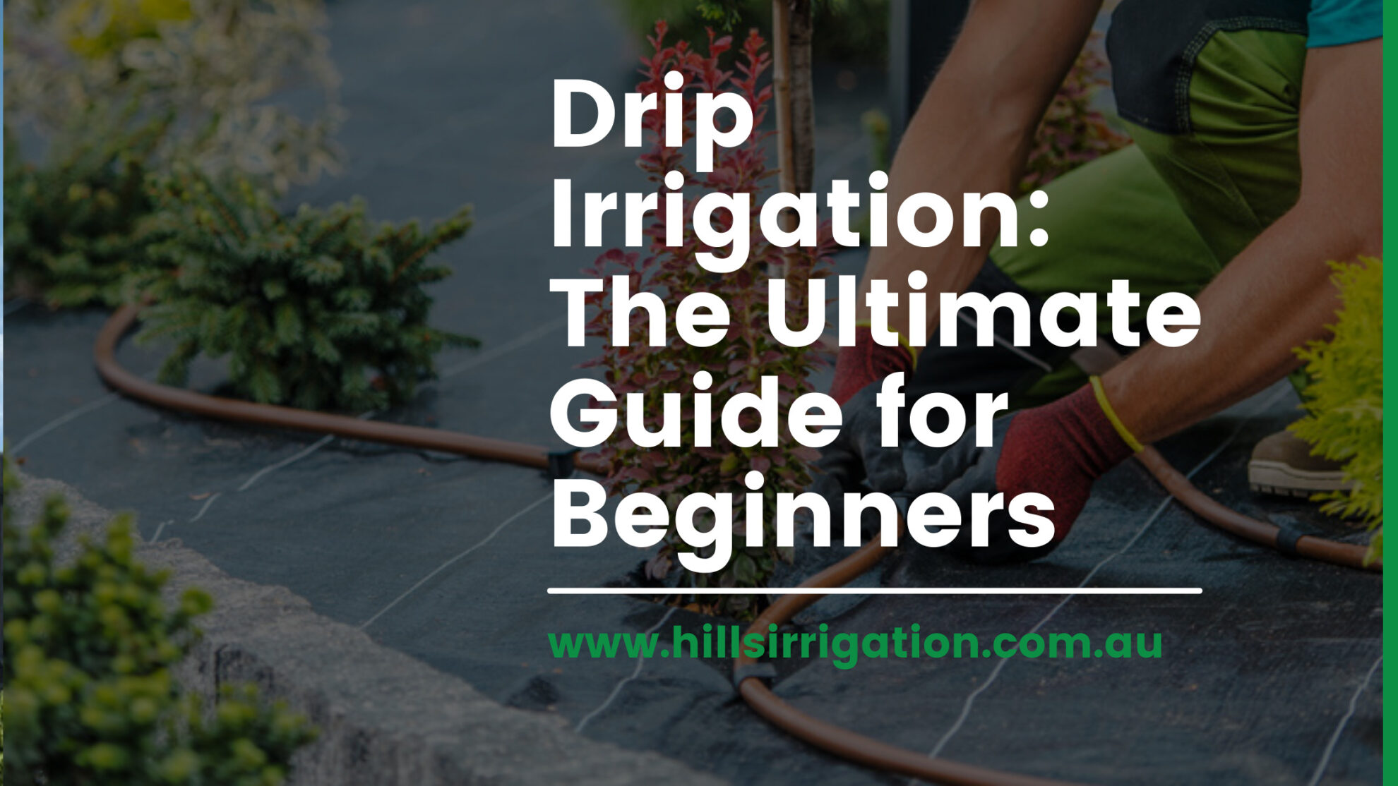 The Full Guide to Planning & Installing Pop Up Sprinkler Systems